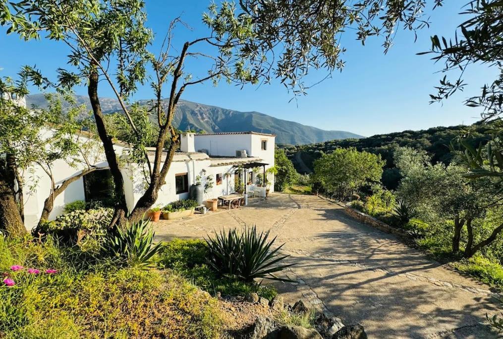 Almond Hill House Villa Орхива Екстериор снимка